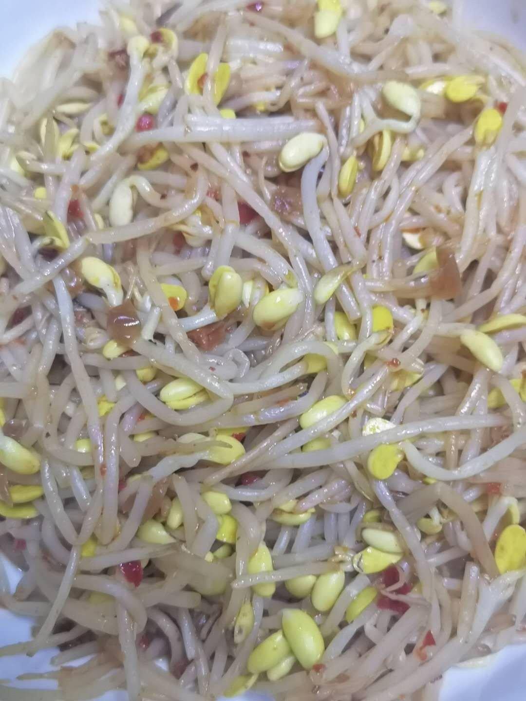 凉拌豆芽