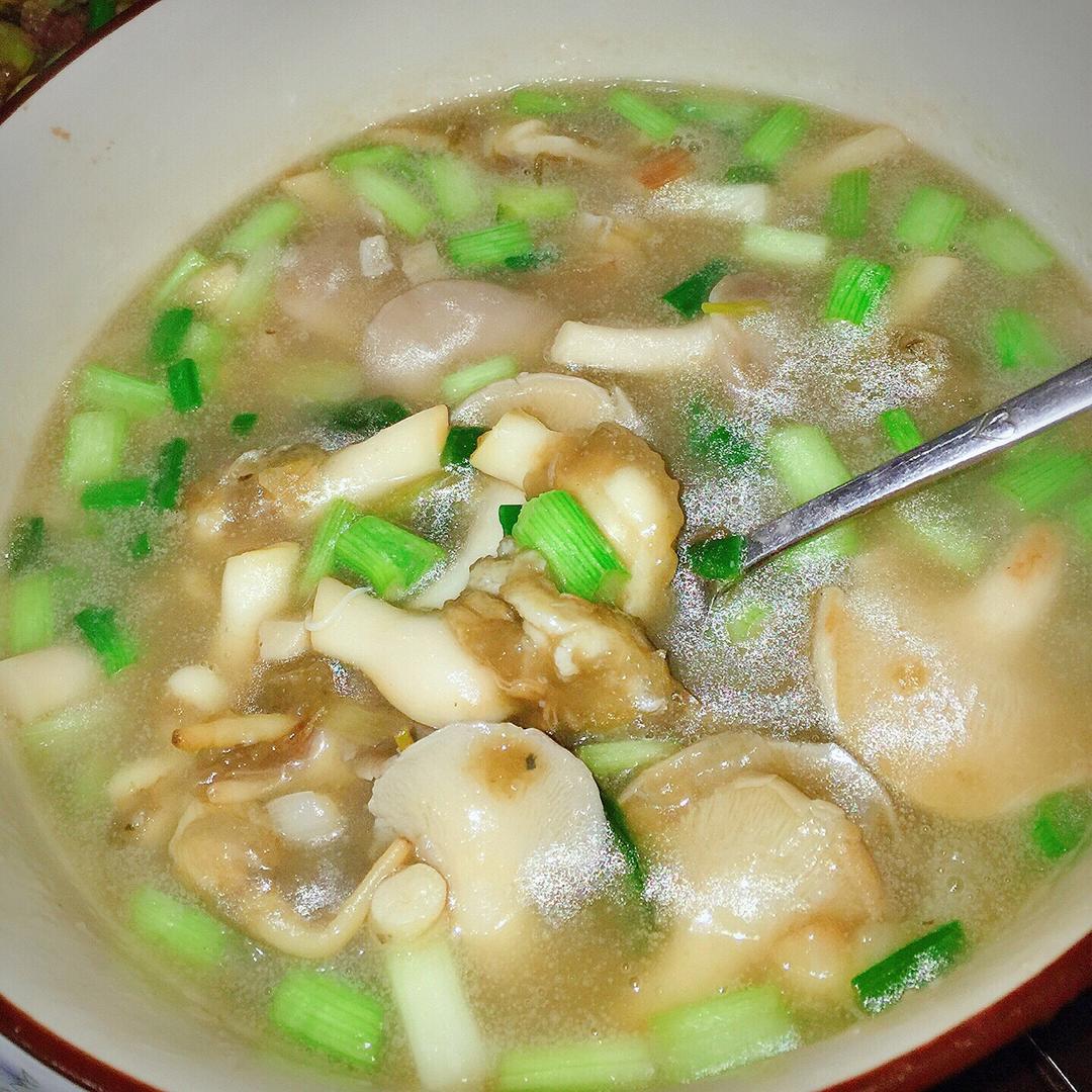 手机用户3175_9g43做的冬瓜海蛏汤