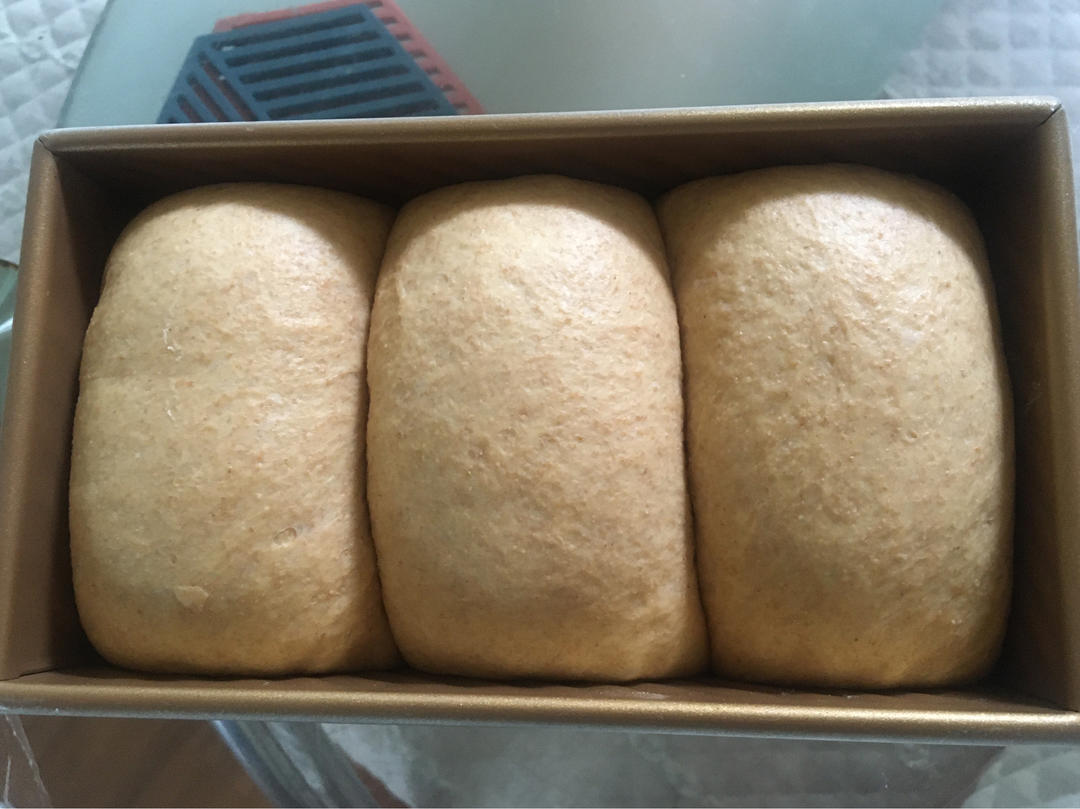 100%纯全麦吐司也很柔软！无糖无油 健身三明治首选