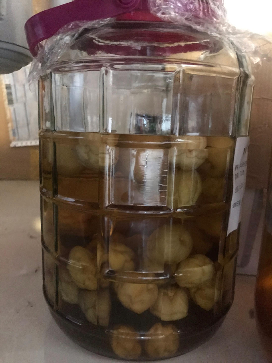 【青梅酒】梅子的沉醉时光（已填坑）