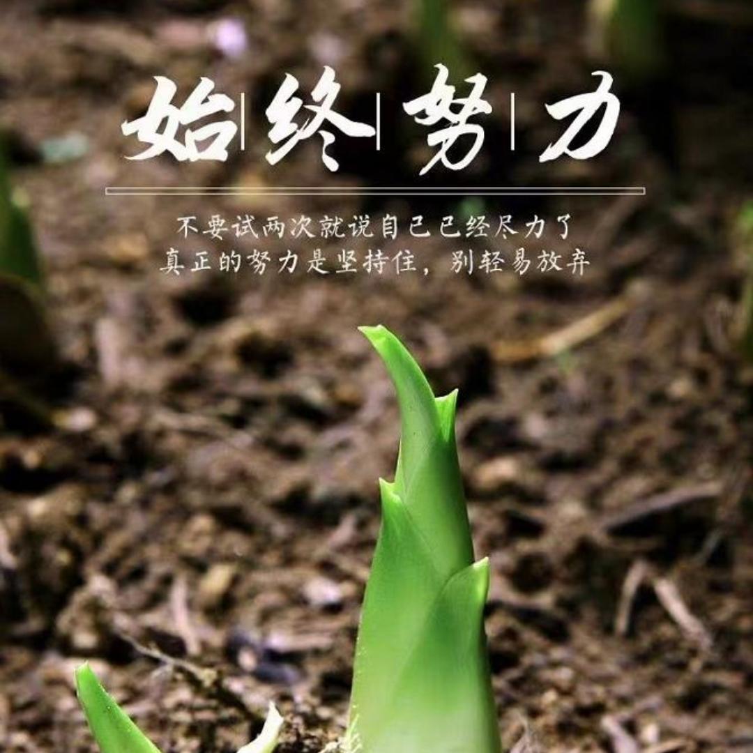 小溪泛尽却山行