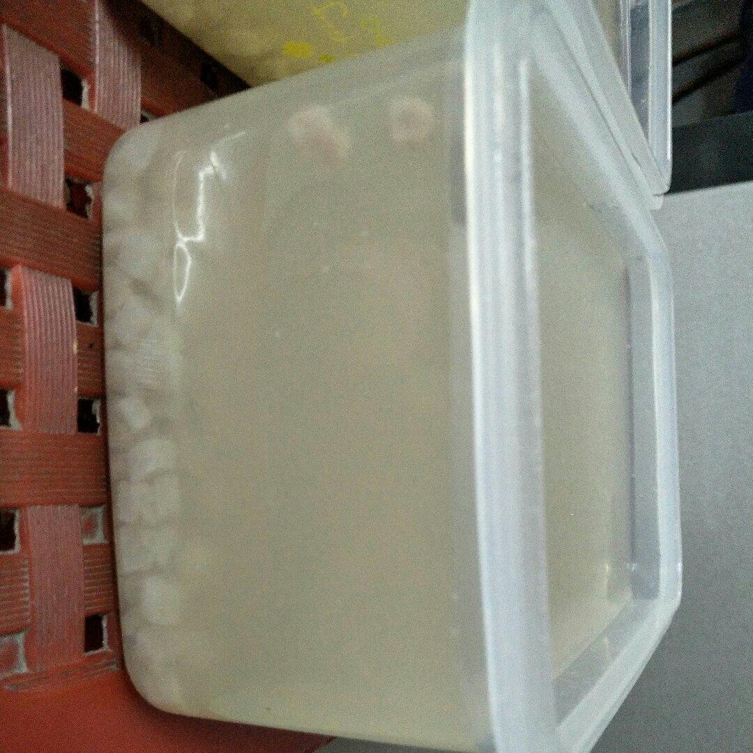 吃真正的胶原蛋白：水晶皮冻