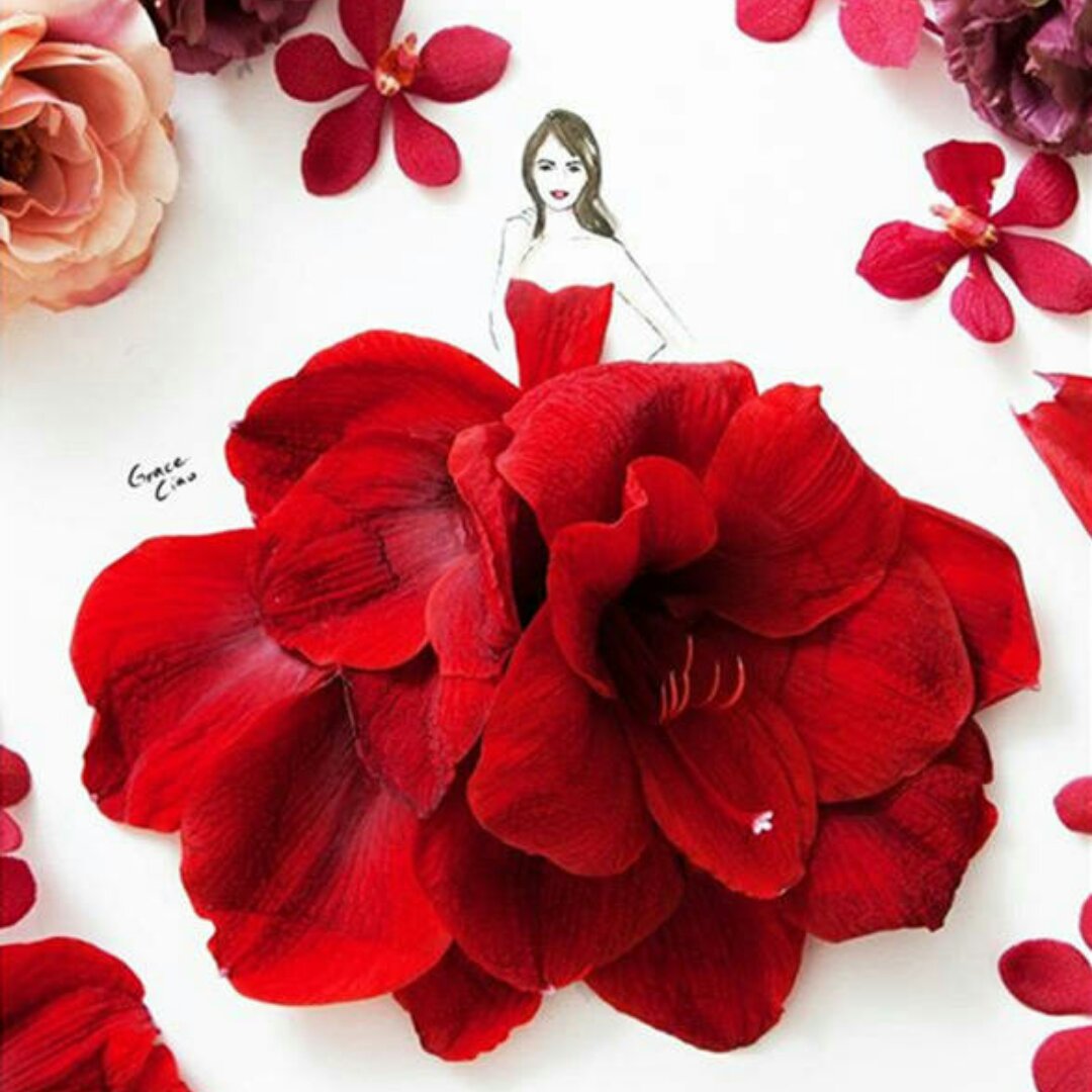 心随雨动3185141552