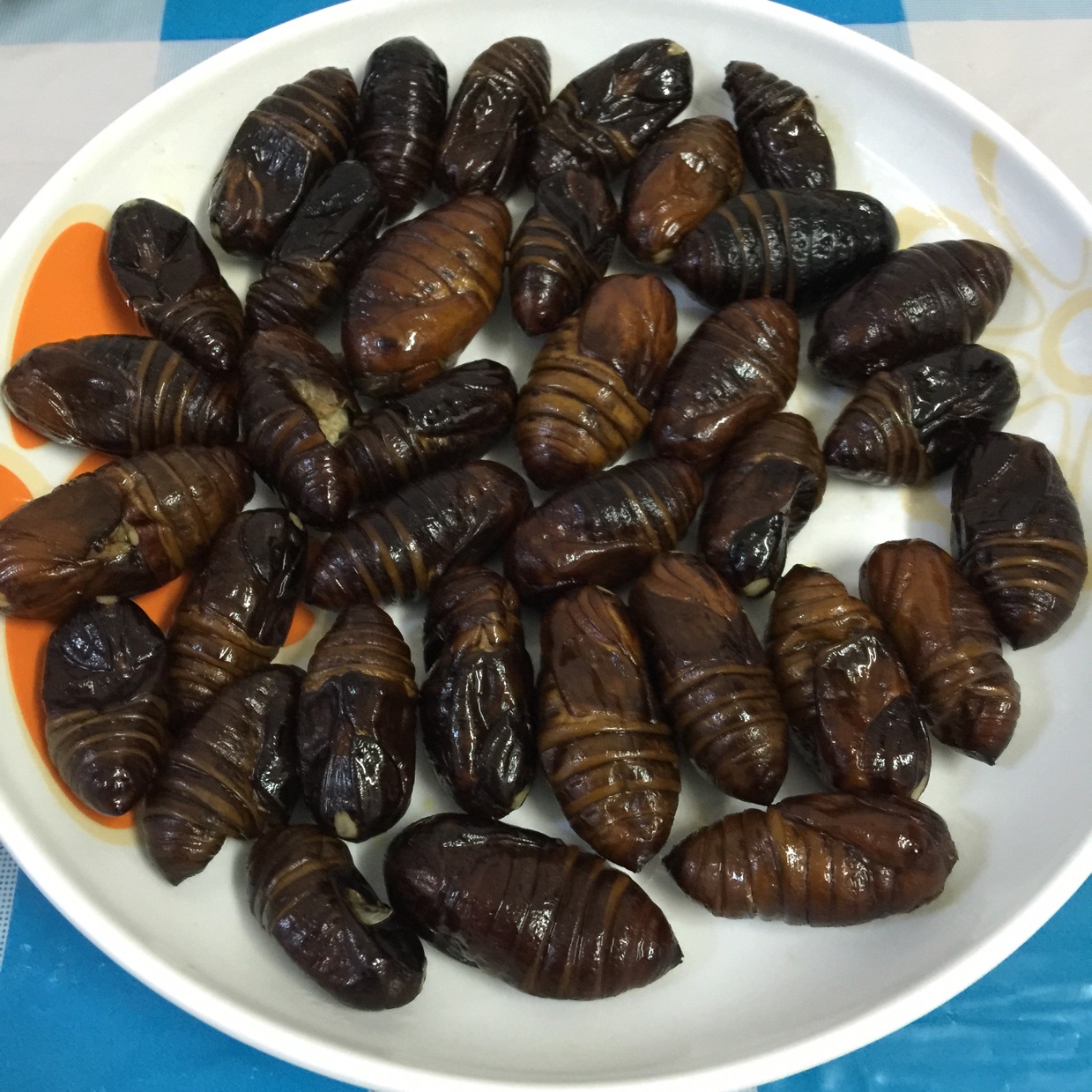 家常炒茧蛹