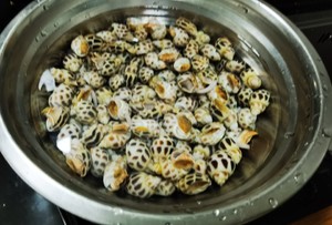 胡椒花螺的做法步骤图 胡椒花螺怎么做好吃 瑶瑶女王666 下厨房 胡椒花螺的做法步骤图 胡椒花螺怎么做好吃 瑶瑶女王666 下厨房