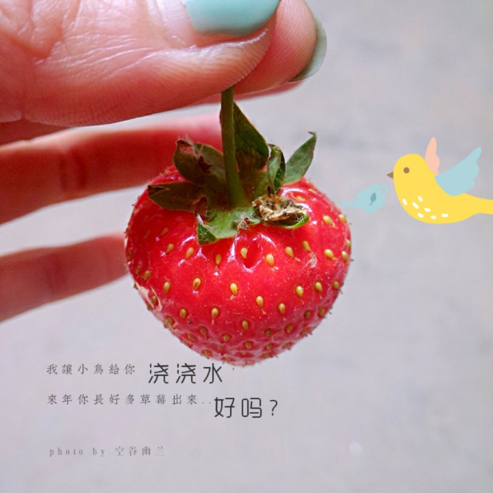 不为悦人，只为悦己