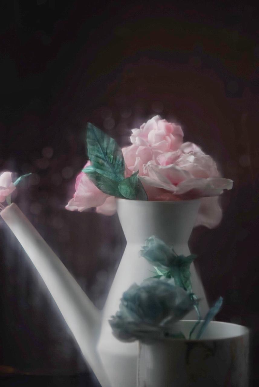 相机吃的菜哦(◍•ᴗ•◍)