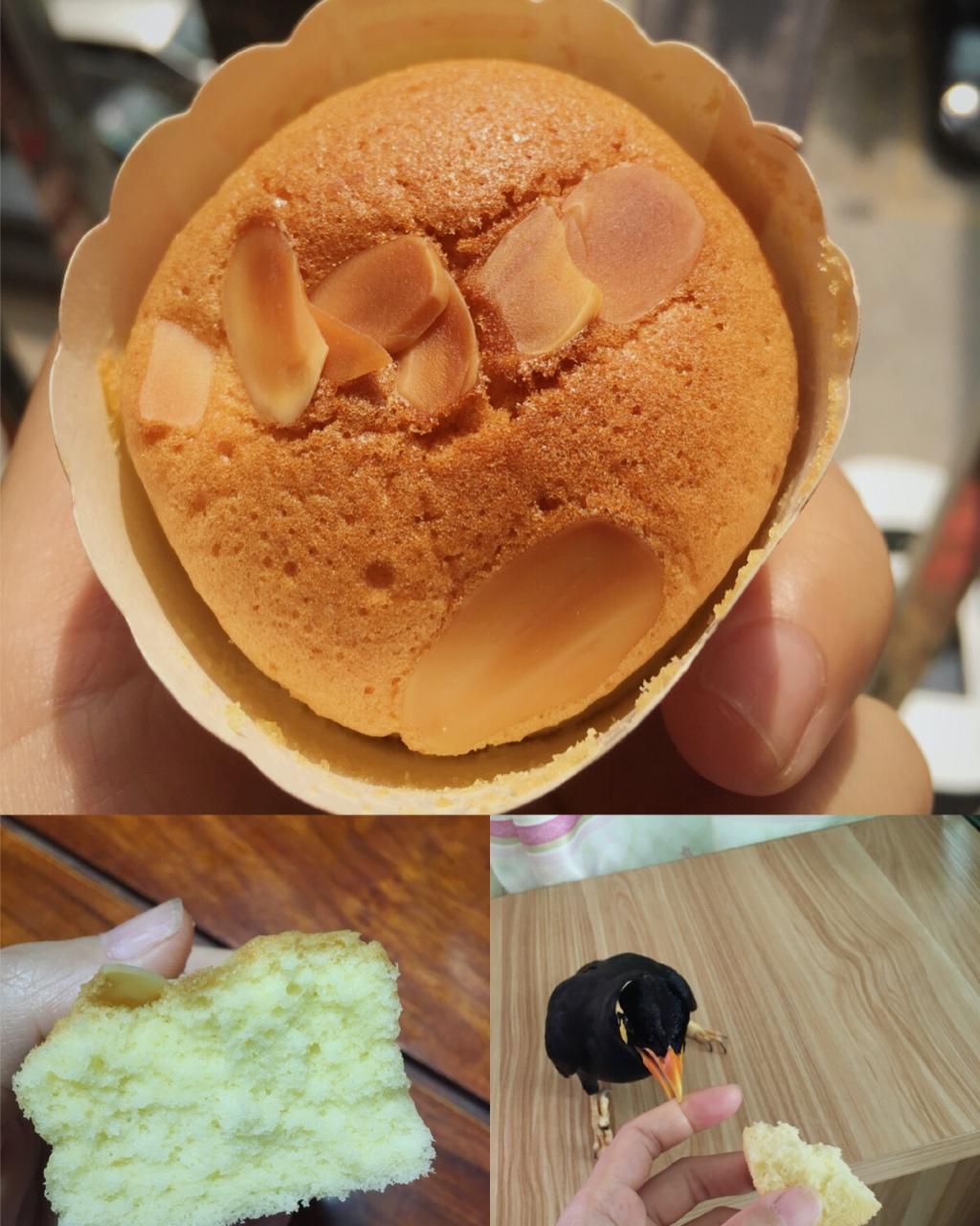 海绵纸杯蛋糕