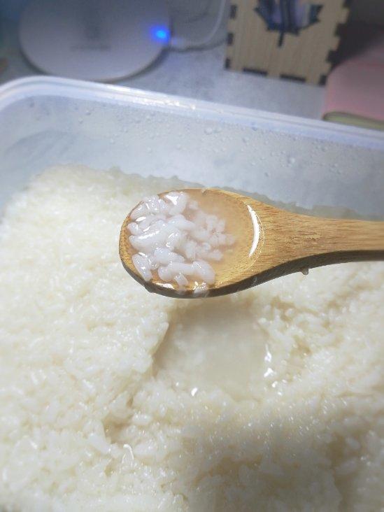 自制简易版甜米酒