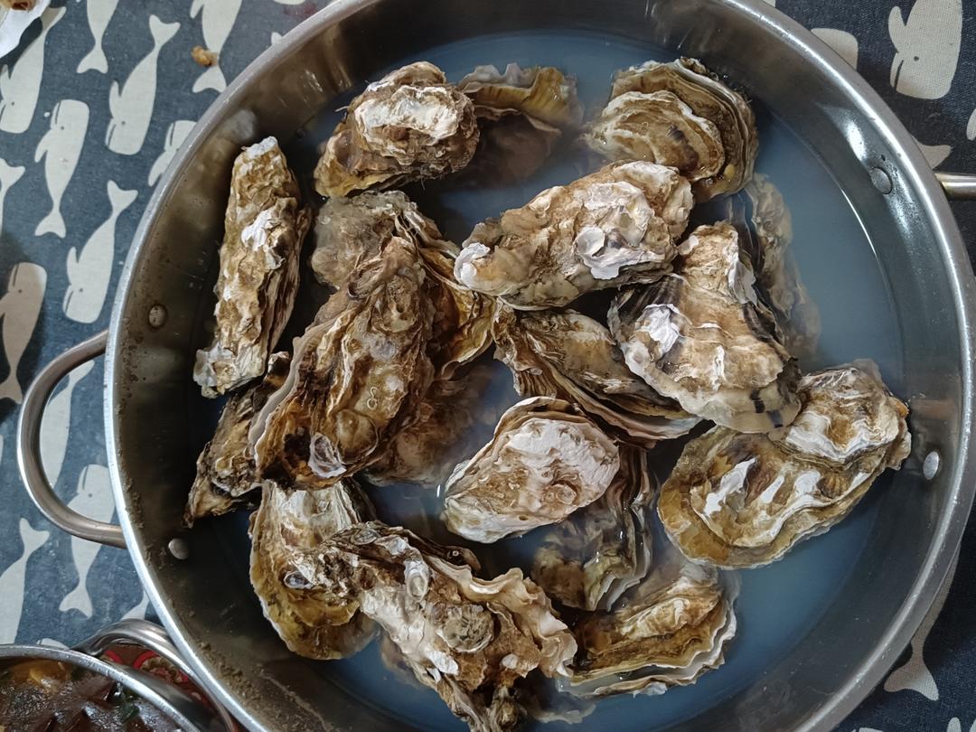 哈皮多宝鱼做的午餐612024年5月17日