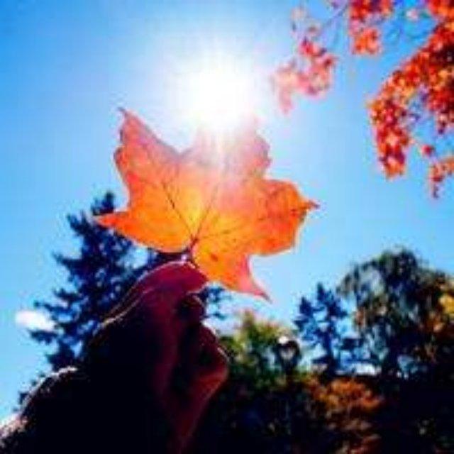 手机用户9314_s7hw