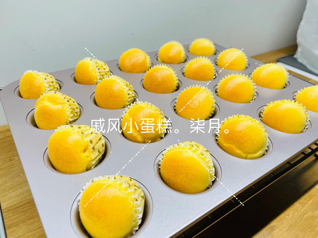 《Tinrry+》香草/抹茶/可可迷你戚风杯子小蛋糕，不用烫面也能湿润哦~