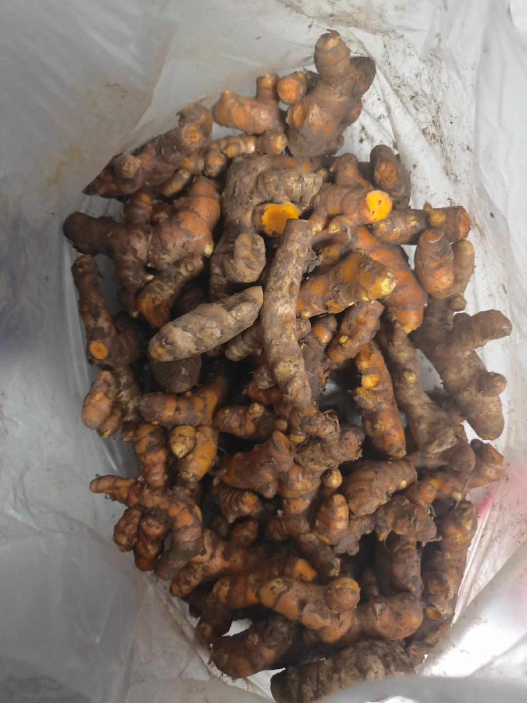 姜黄粉