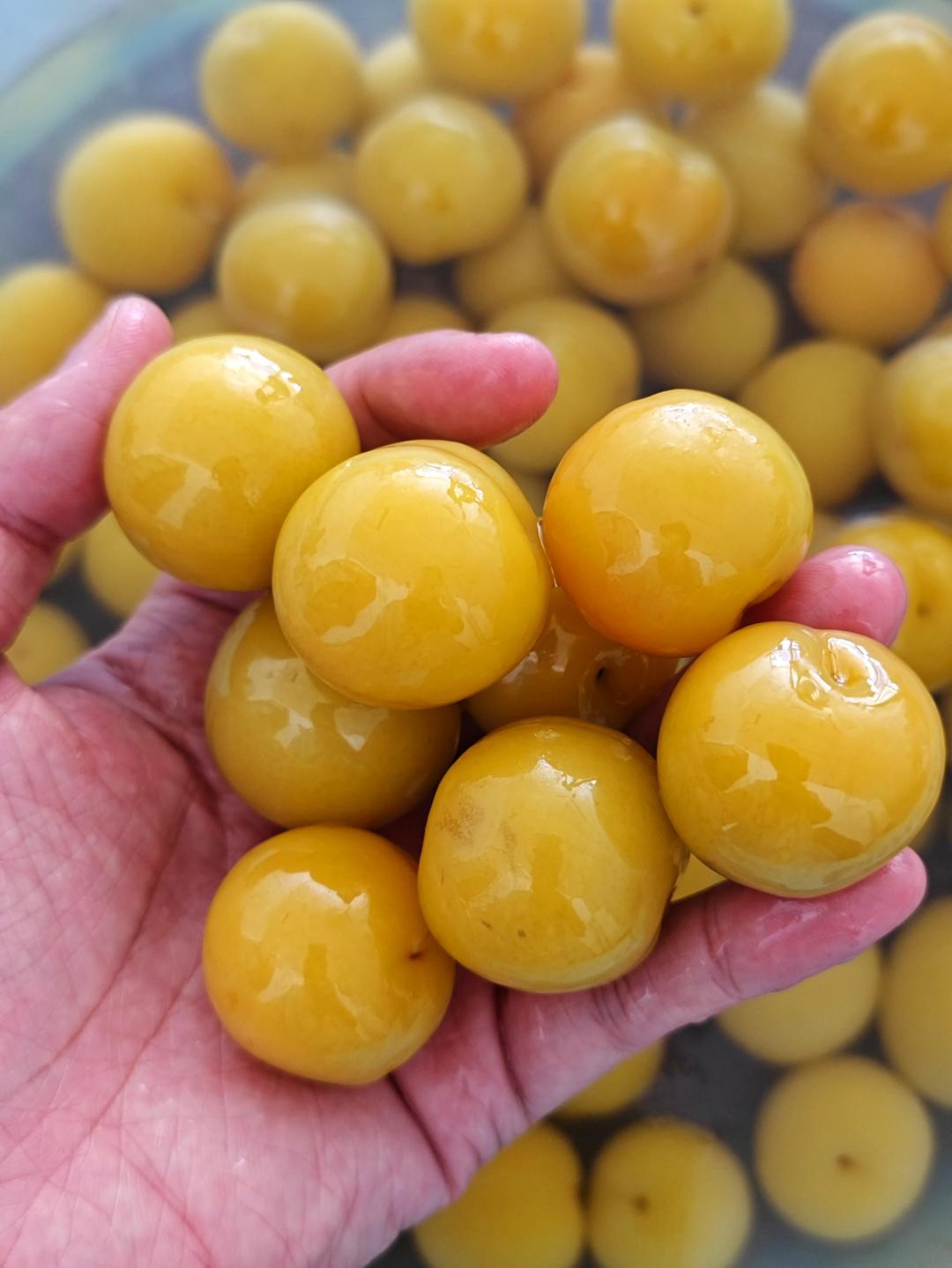 甘草李子酸