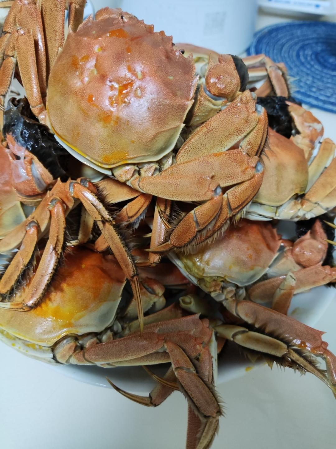 清蒸大闸蟹