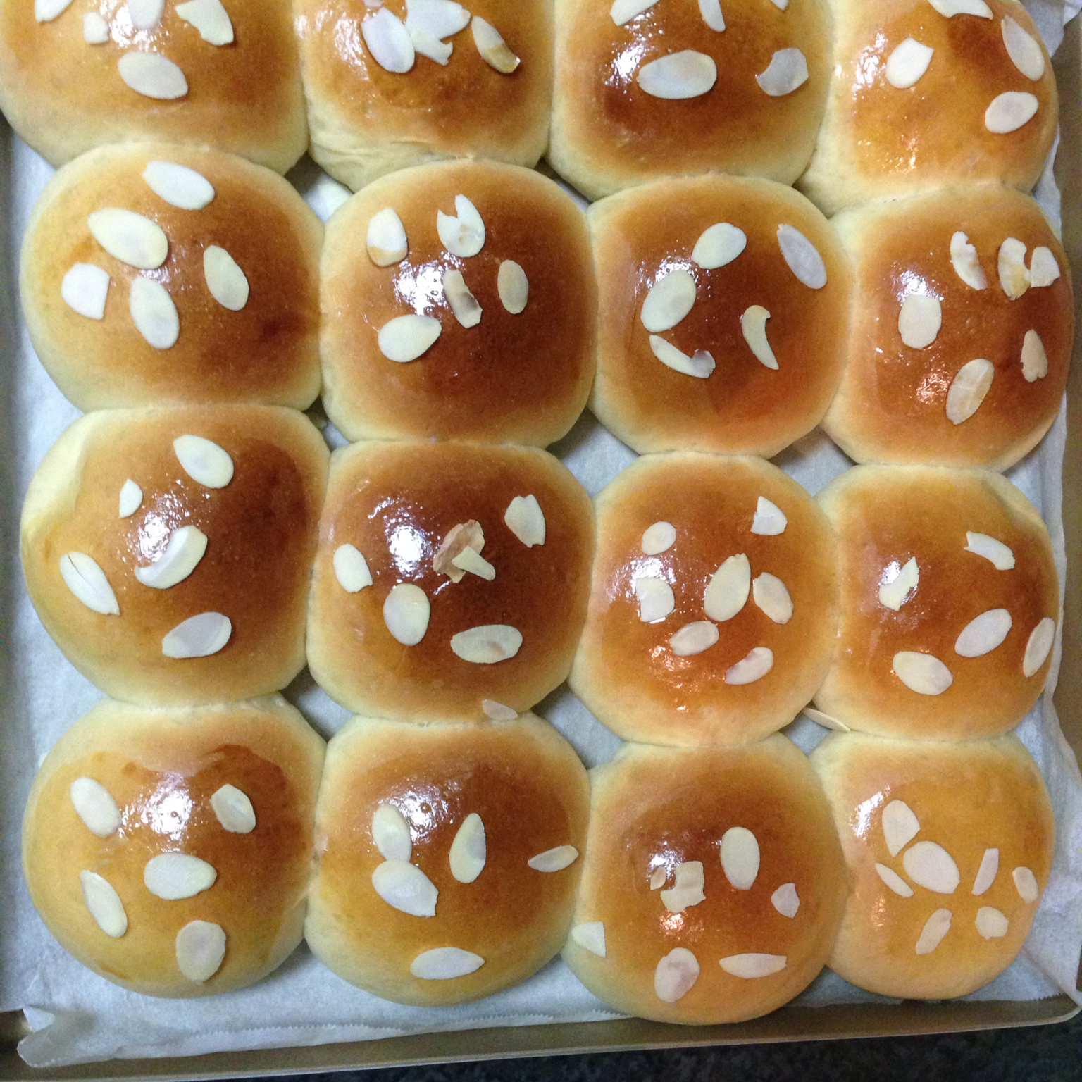 鲜奶油小餐包（一次发酵）