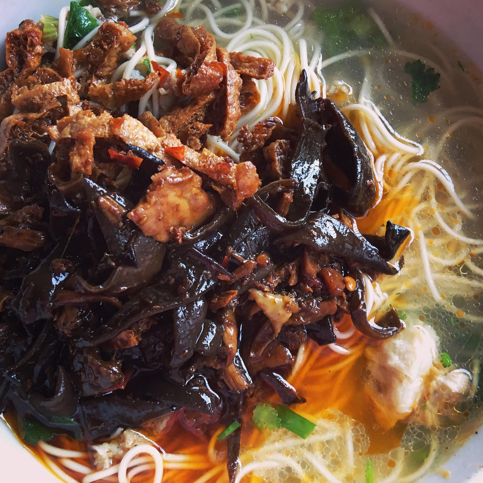 邵阳木耳肉丝米粉