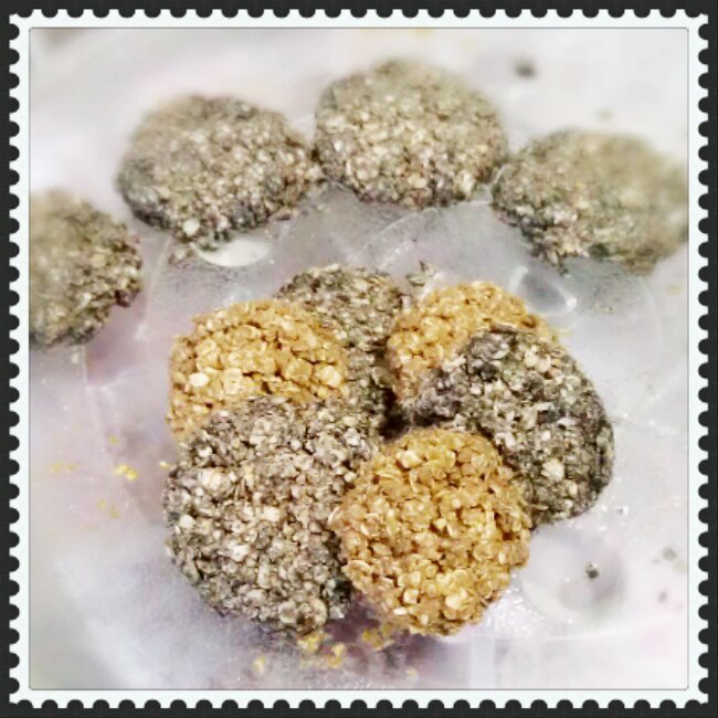 不用烤箱的燕麦小饼干