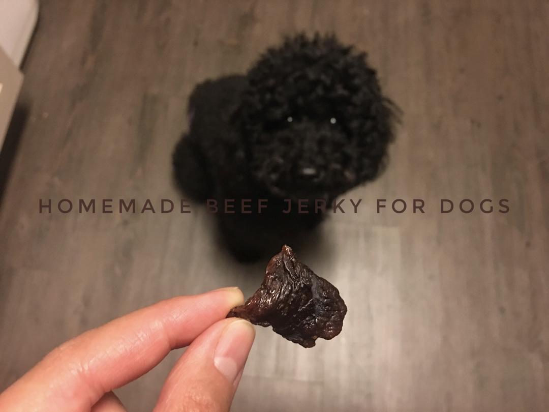 🦴自制狗狗零食牛肉干【Homemade Beef Jerky for dogs 】