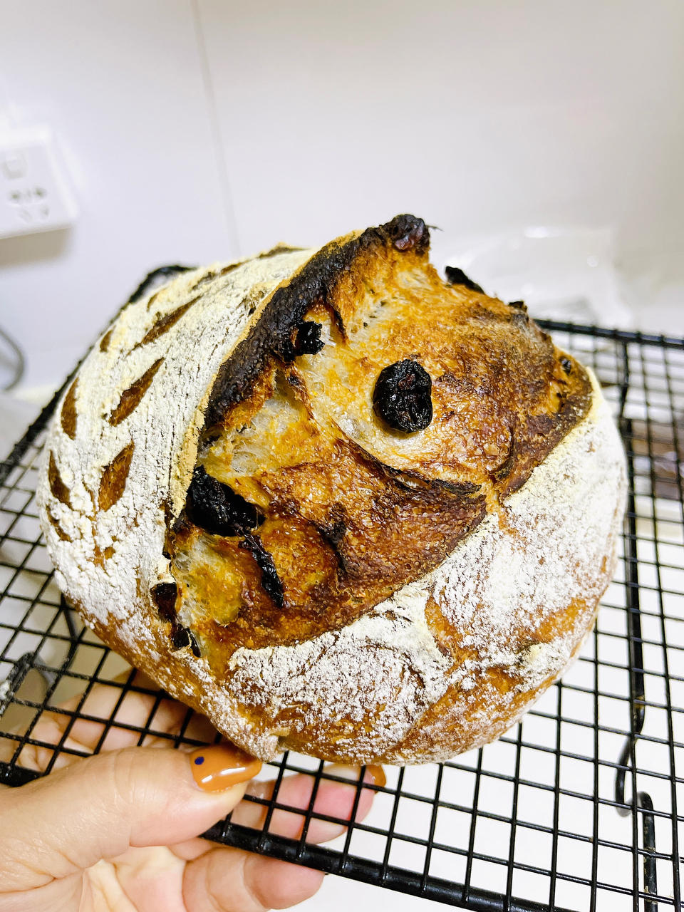 欧包的秘密（免揉/大孔洞/核桃/超简单）