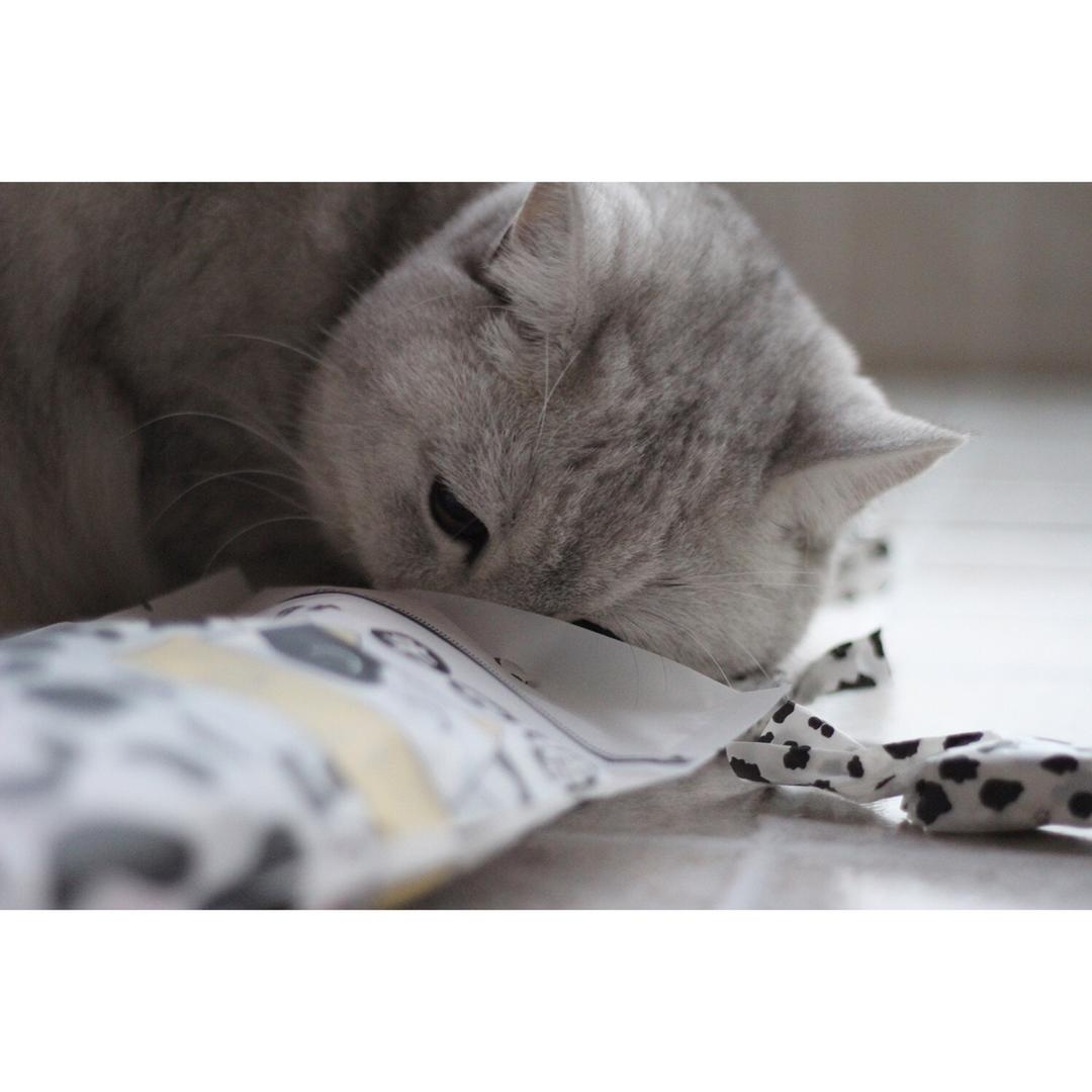 甜蜜食光——我心目中的牛轧糖