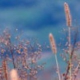 私家包铺的厨房