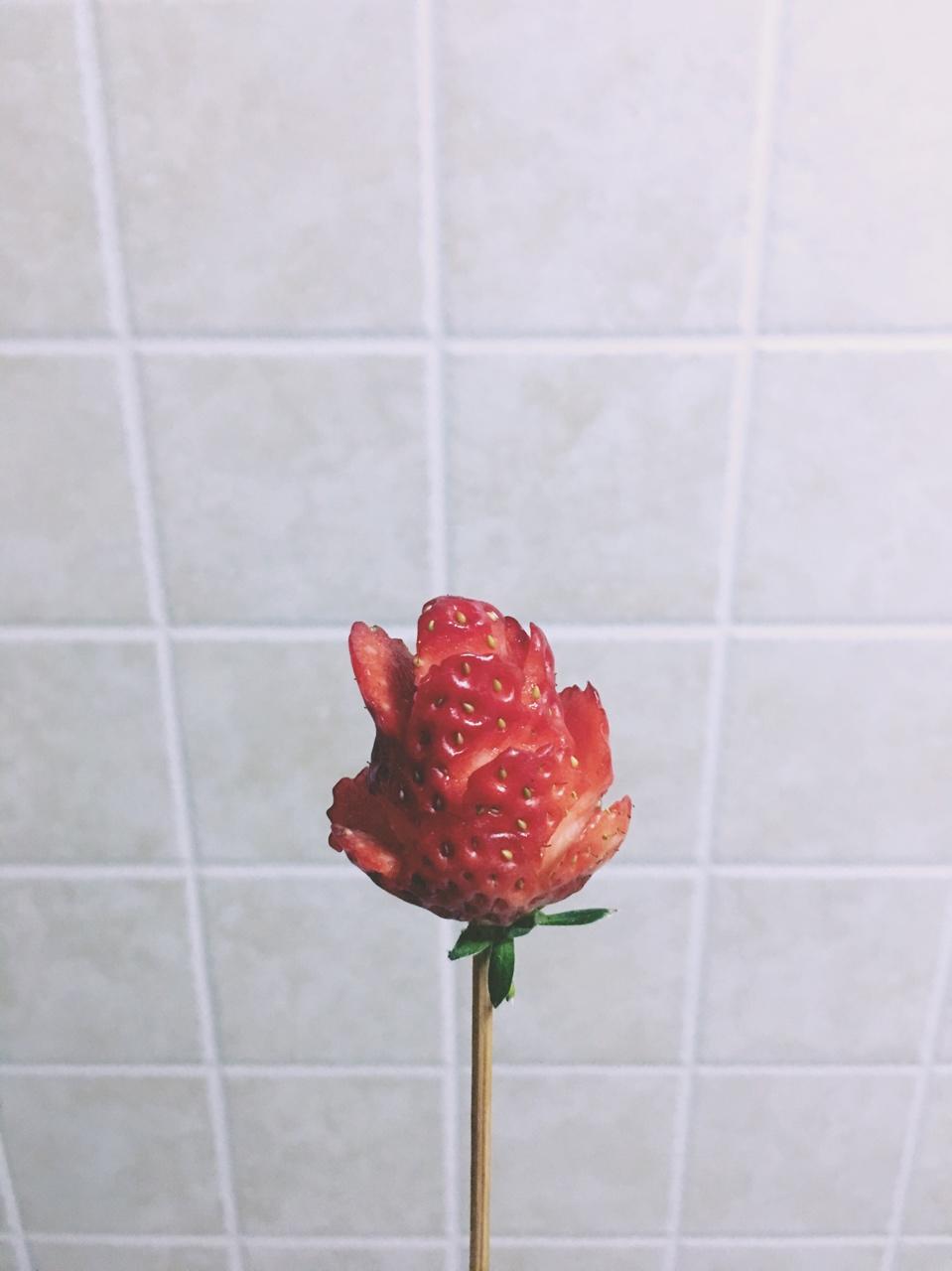 玫瑰花草莓