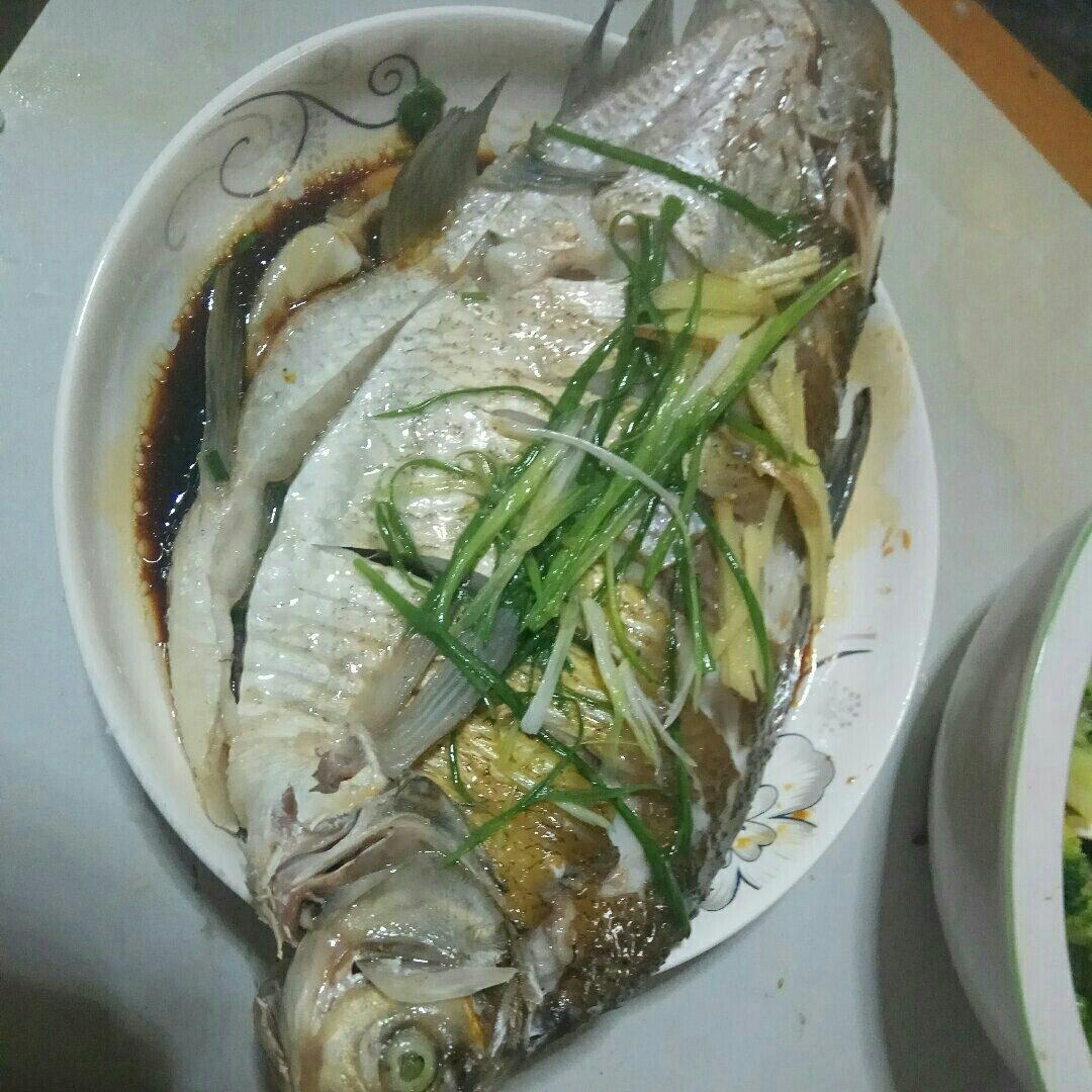 清蒸鱼（鲈鱼/多宝鱼/桂花鱼/石斑鱼……）