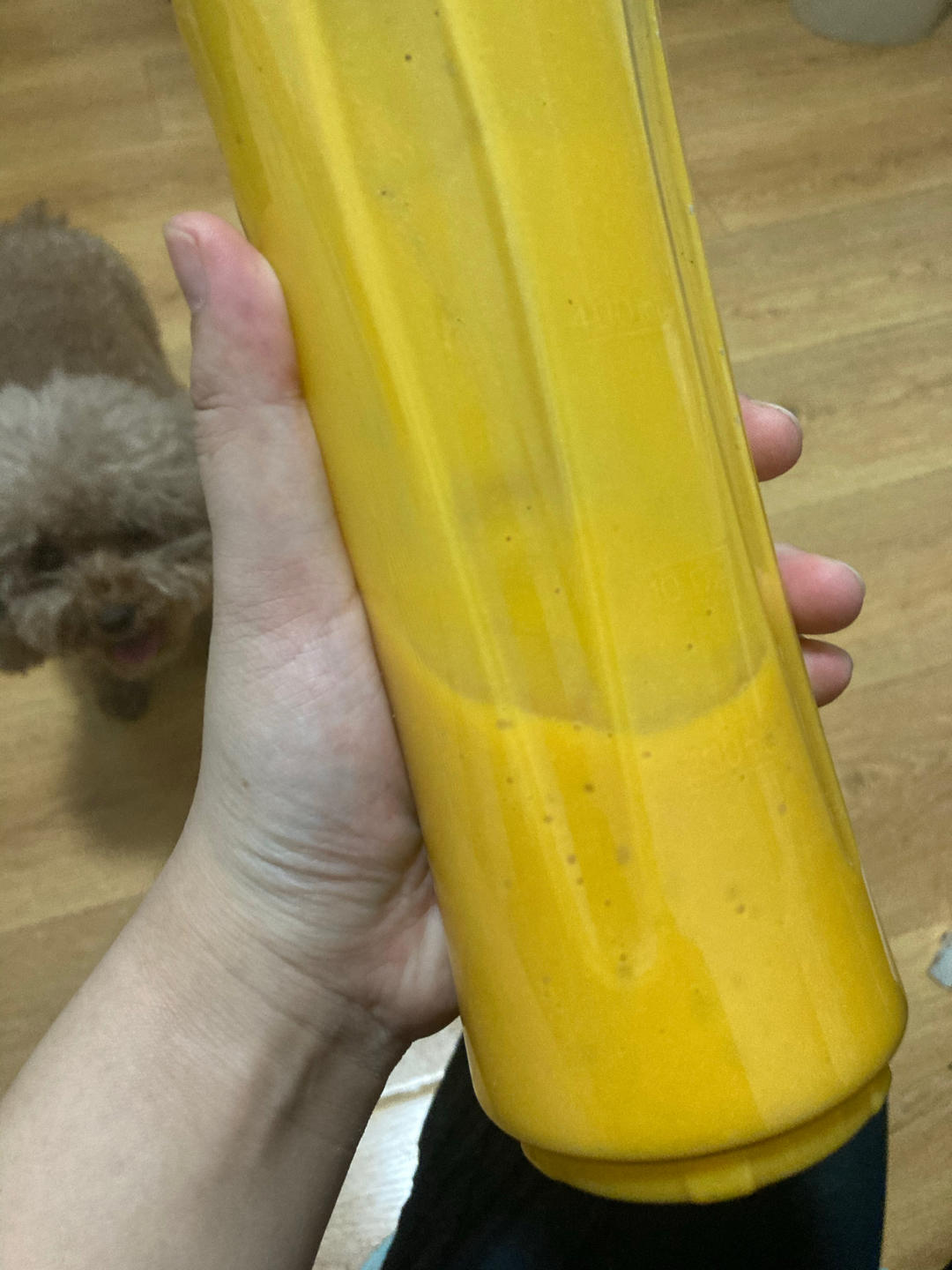 ‼️八分钟完成超好吃南瓜粥