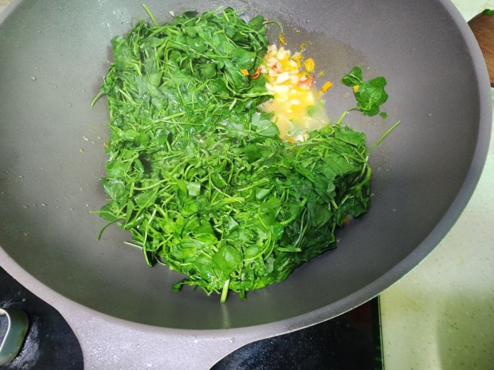 黄灯笼拌金花菜（苜宿）的做法