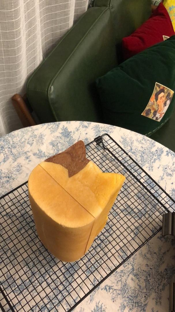 超可爱的三花猫头吐司（风和日丽600g猫头模具）