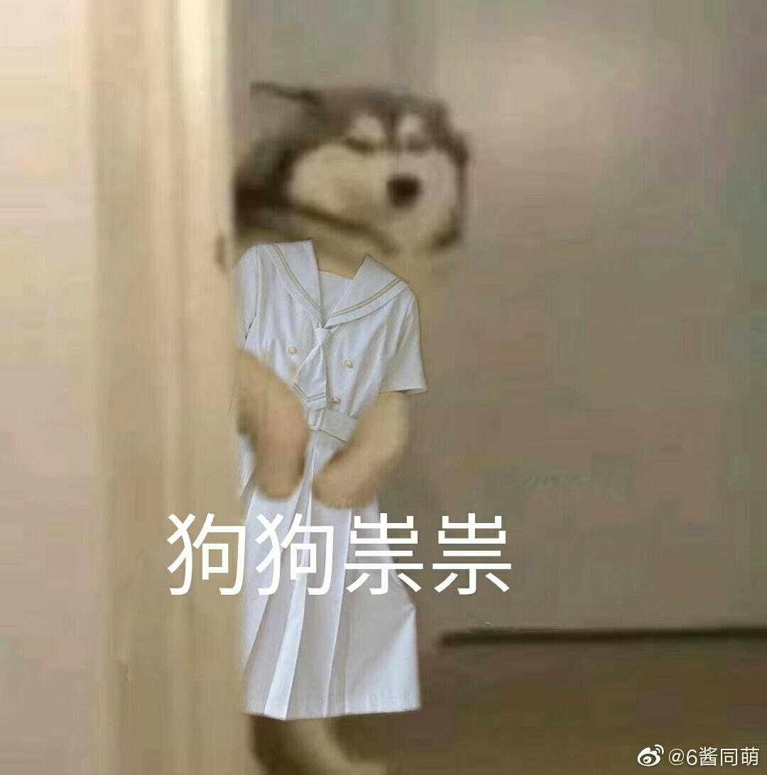 红烧鸡jiojio的做法