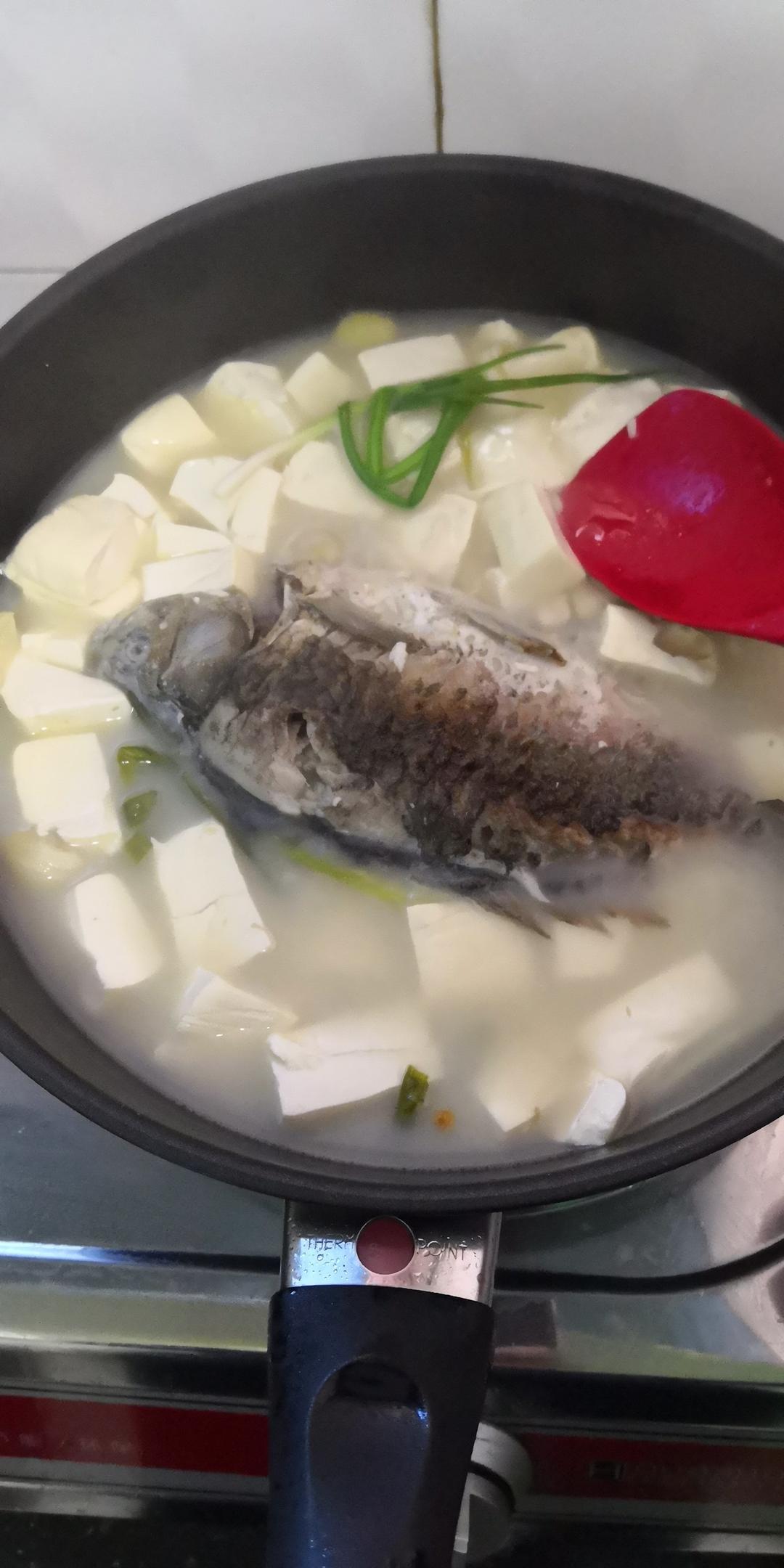 手机用户2112_z5l8做的奶白鲫鱼汤