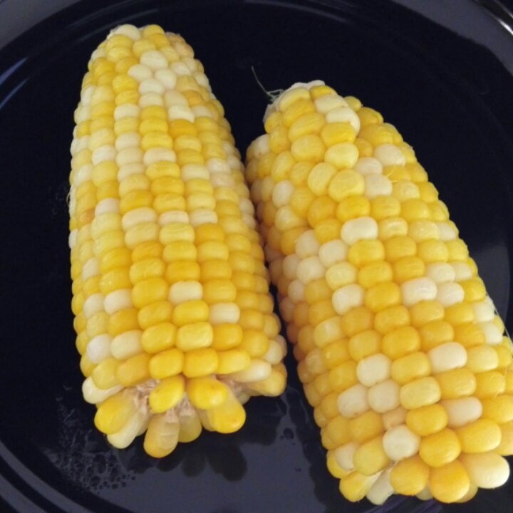 正确煮玉米的方法