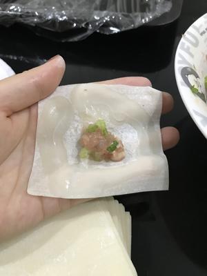 芹菜鲜虾小馄饨的做法 步骤4