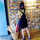 稻田里的海豚