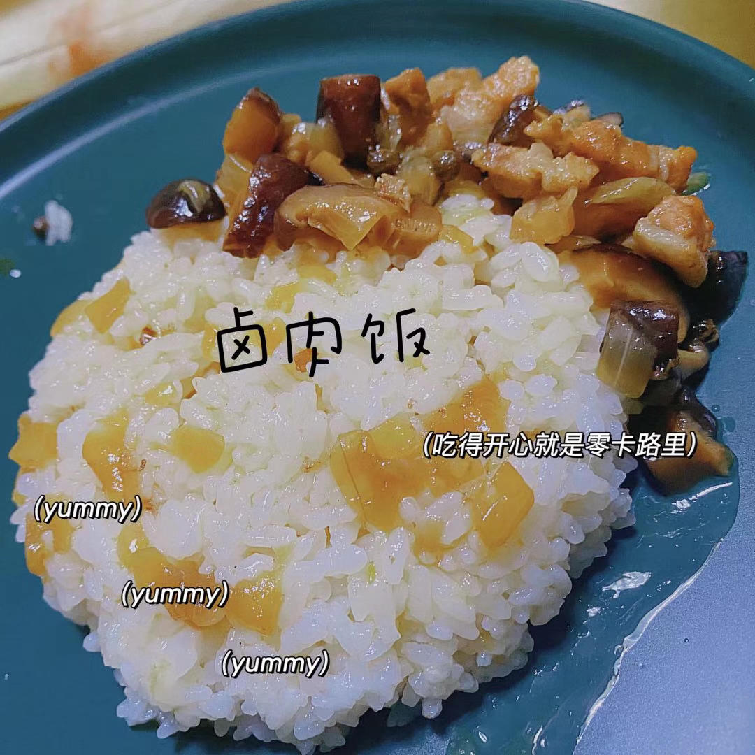洋葱酥卤肉饭