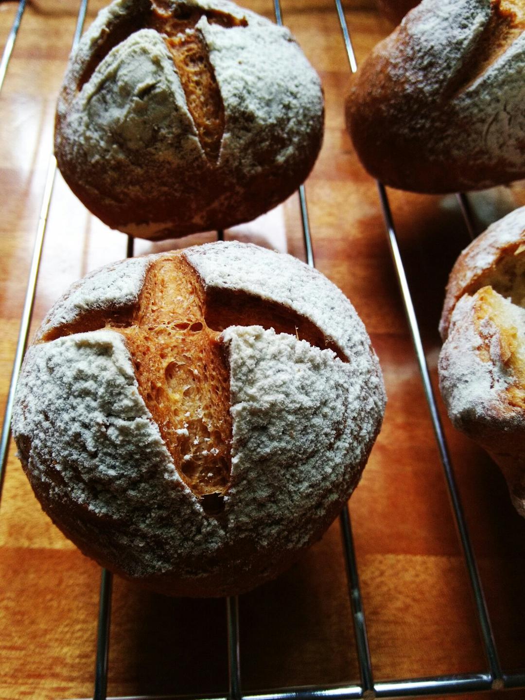 免揉基础小欧包 No knead basic bread