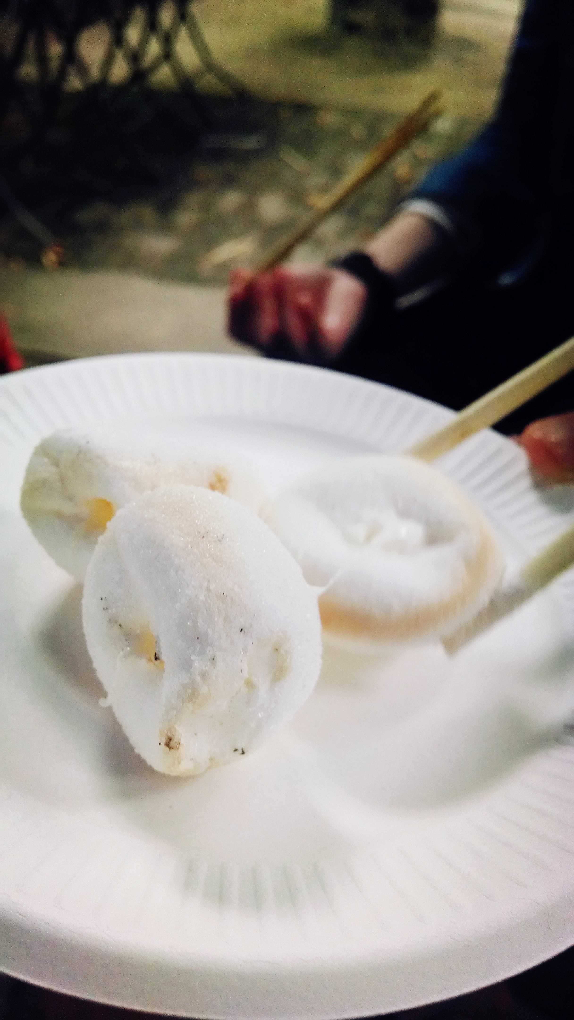 请你不要吃我做的超简单的冬日甜点拉丝脆皮烤棉花糖