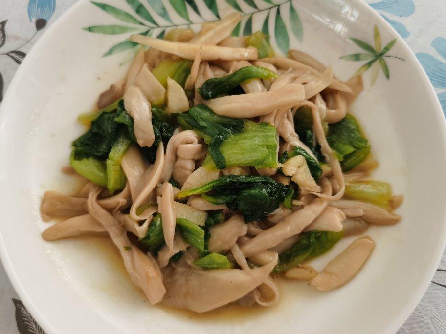 手撕杏鲍菇炒青菜
