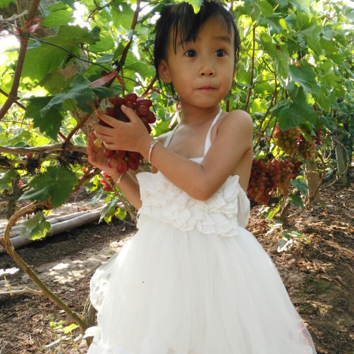 新手驾到请多关照