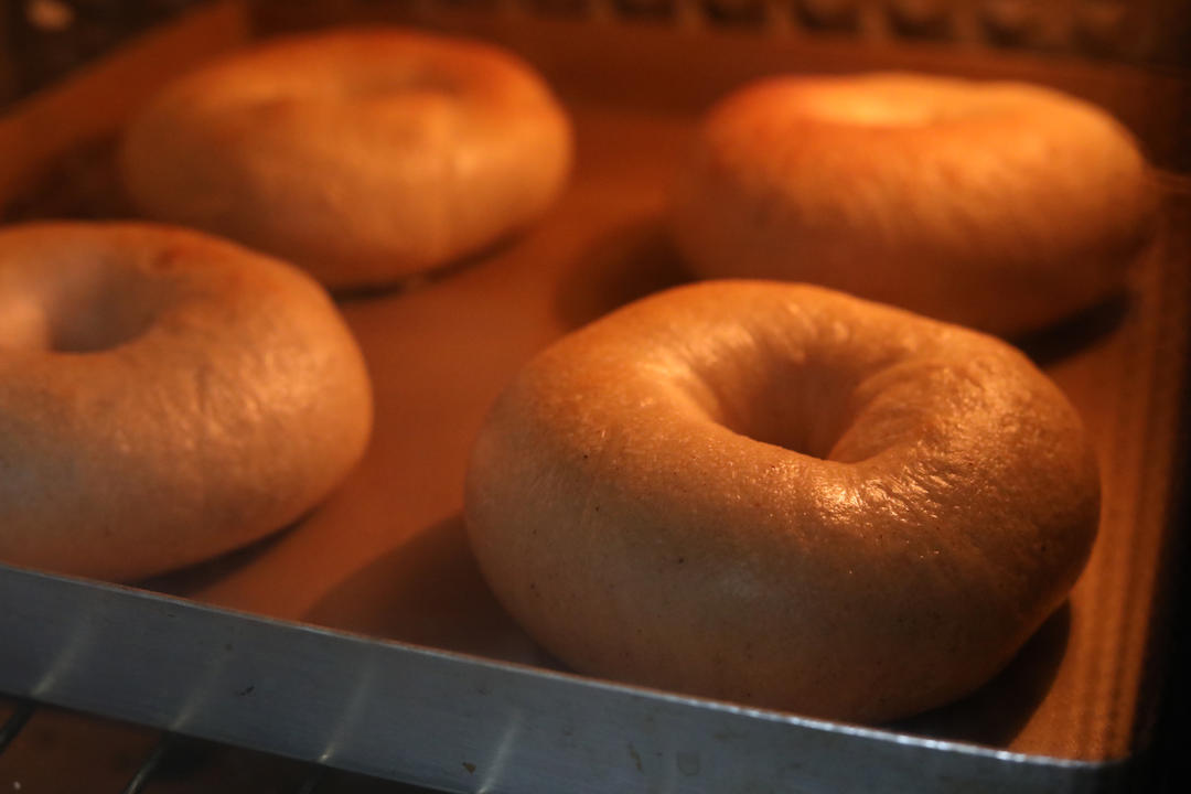 100%天然酵母贝果 - sourdough bagels