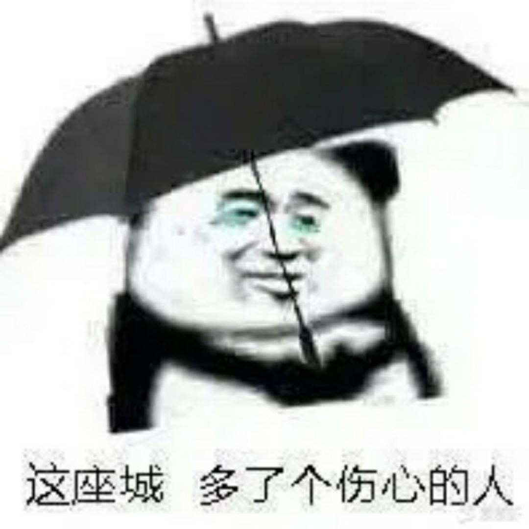 新小厨子子