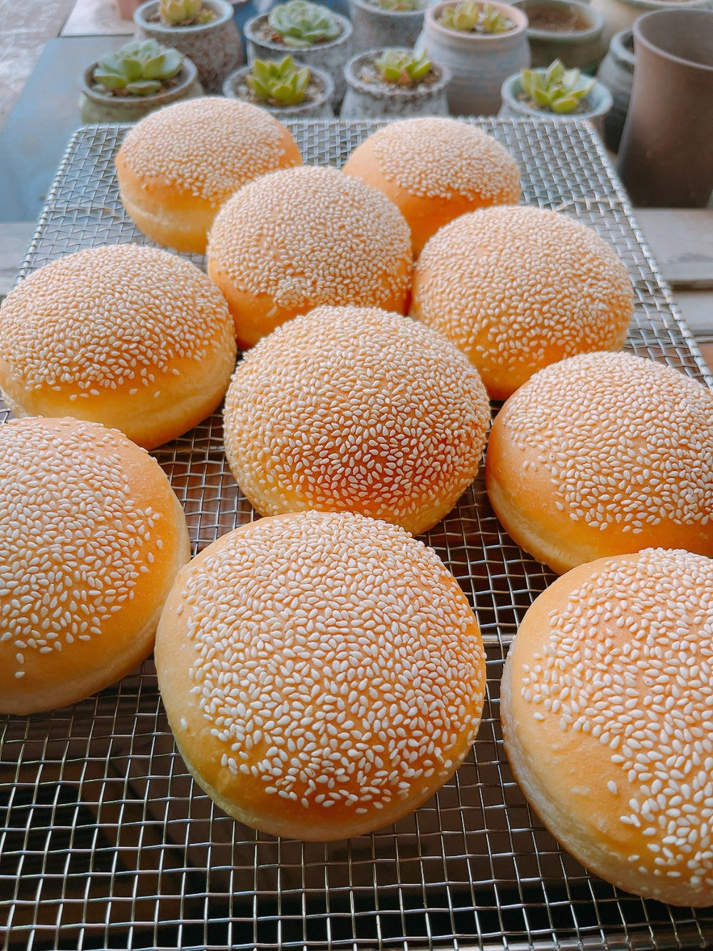 记录一个超级软的万用汉堡胚（波兰种）