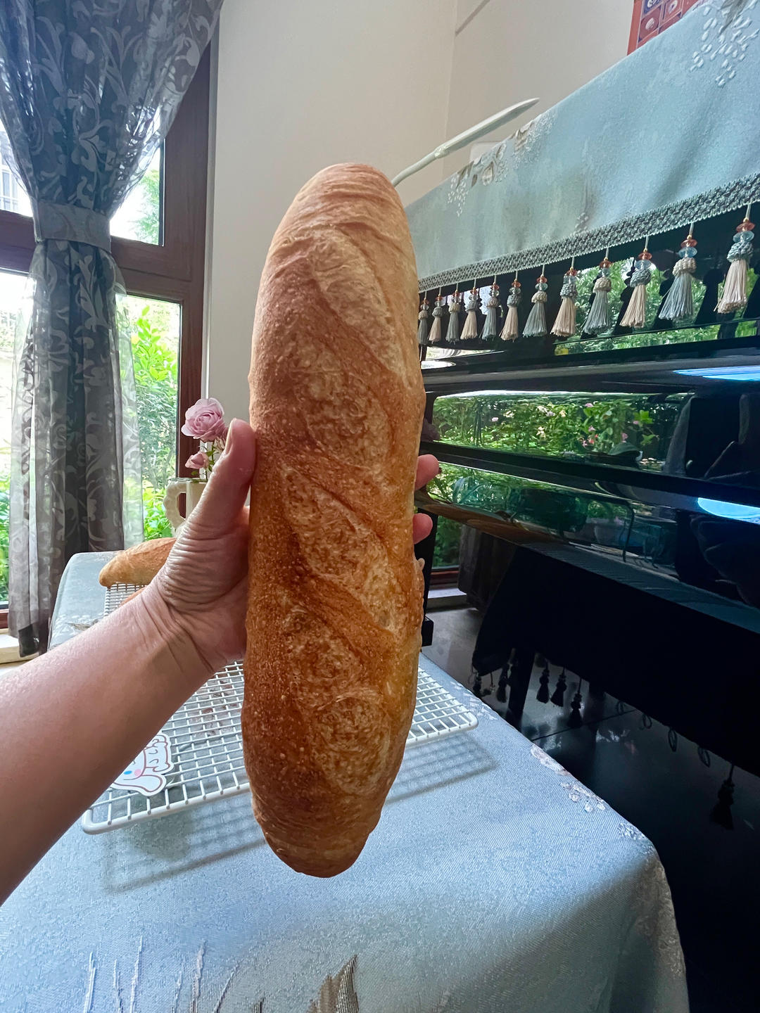 家庭版波兰种法棍