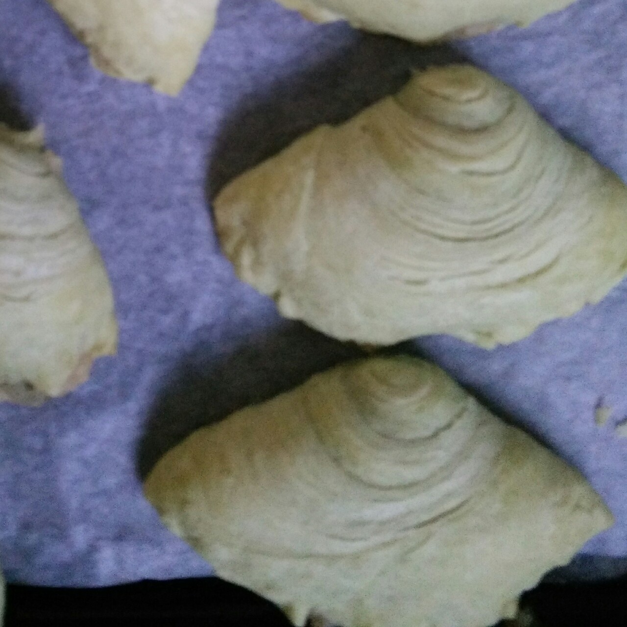 抹茶豆沙眉毛酥