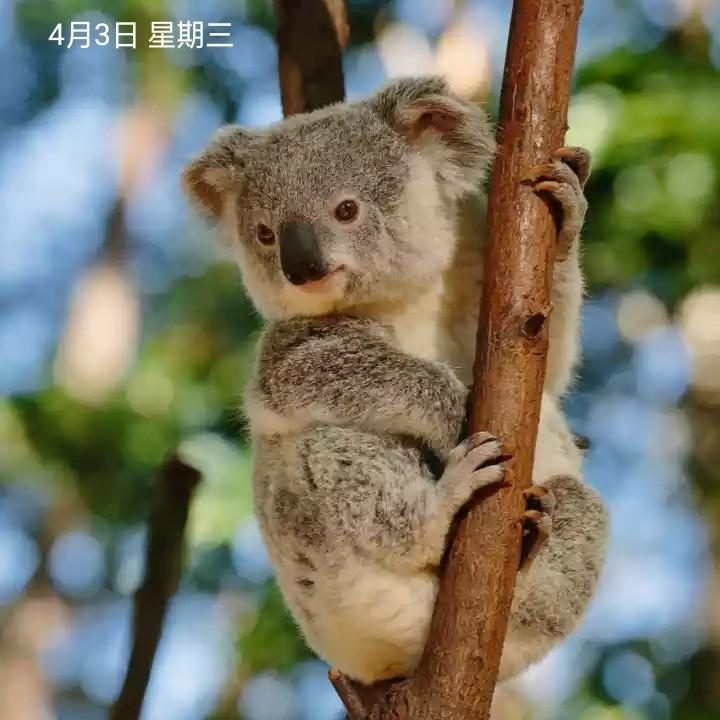 几点结束接电话