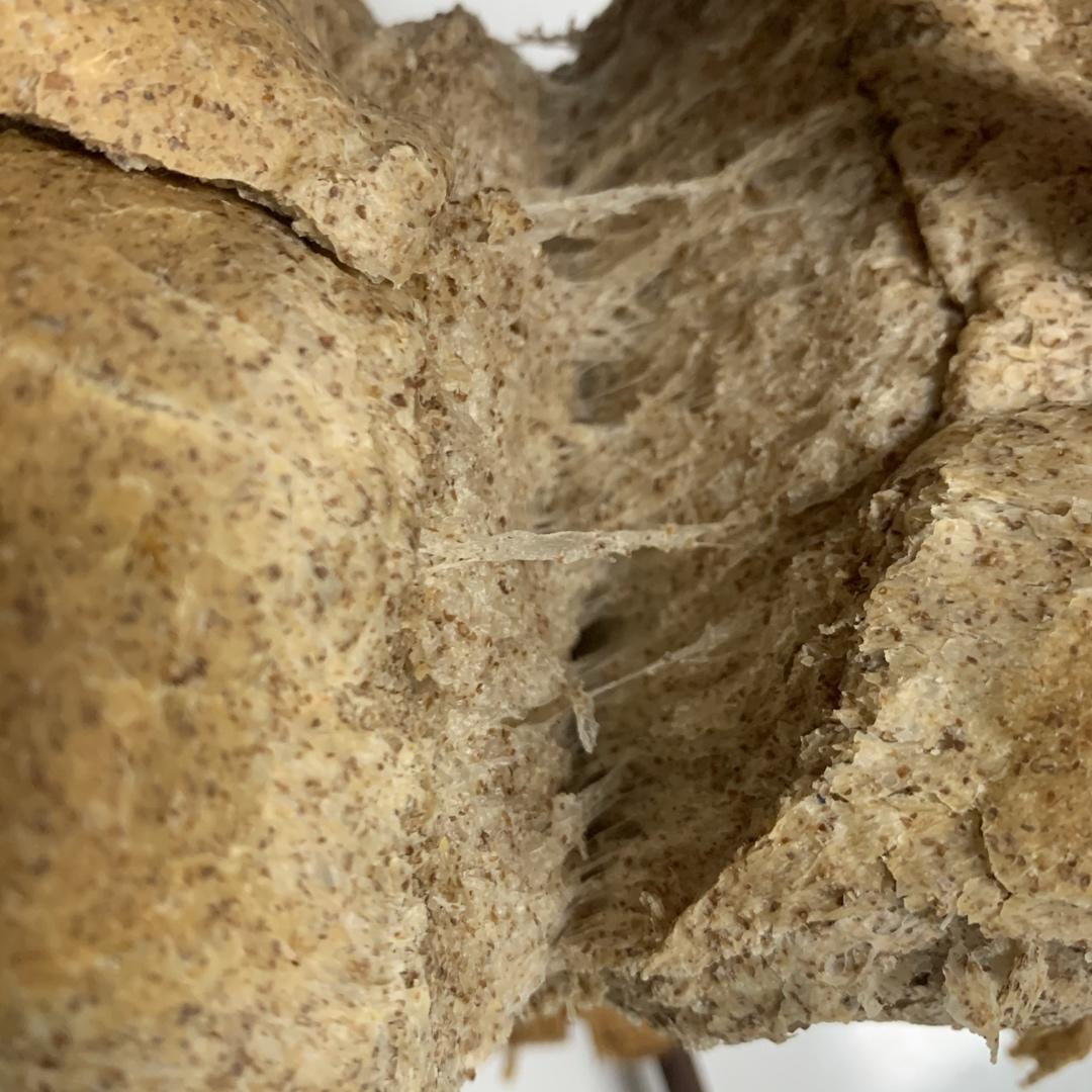 黑麦吐司 70%黑麦 波兰种