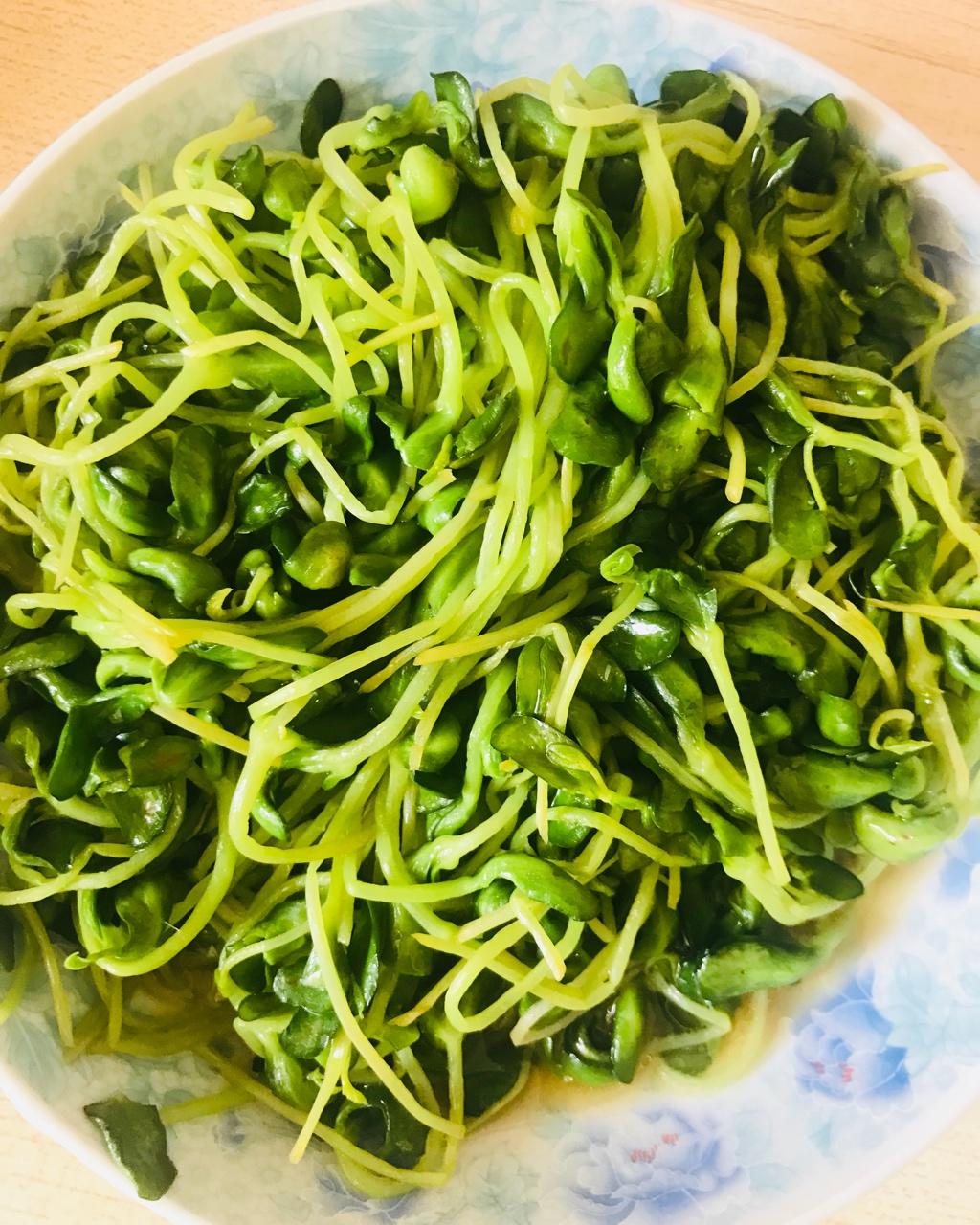 清炒豆芽菜
