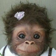 木木匕禾頁斤欠